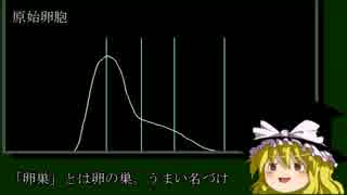[ゆっくり]PARTNER用語解説「月経」
