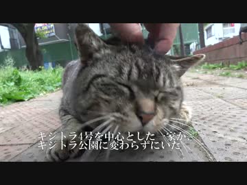 皇帝猫、終の棲家に引っ越す