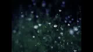 CaLLmeKAT – Flower in the Night