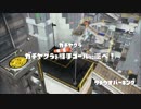 【ヤグラ杯ブロック3決】かちこめ！愛護団体【チャージャー視点】