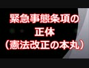 緊急事態条項の正体（憲法改正の最大の問題点）【日本保守同盟＿零】
