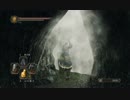 【DARK SOULS2 -SCHOLAR OF THE FIRST SIN-】ダークソウル2初見実況プレイ81
