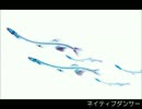 作業用BGM　サカナ屋