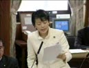 2008.03.27_参議院 内閣委員会 有村治子質疑