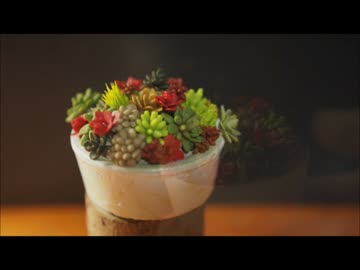 野良猫式Johnny’sカフェ　リニューアル編  その1