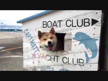 ごん太くんの愛しい人