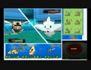 【ポケモンORAS】ホウエン巡りのシングルレート【116番道路-3】