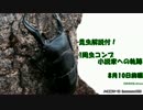 昆虫解説付!1周虫コンプ小説家への軌跡…【ぼくなつPSP】8月10日前編