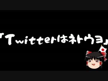 【ゆっくり保守】野間易通「Twitterはネトウヨ」