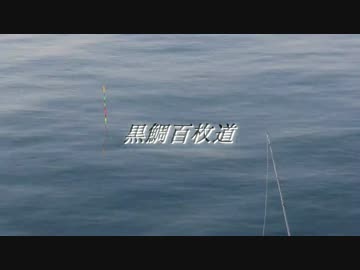 黒鯛百枚道０４「梅雨の伊良湖港」