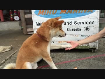 ごん太くんとうめちゃんのおやつタイム！