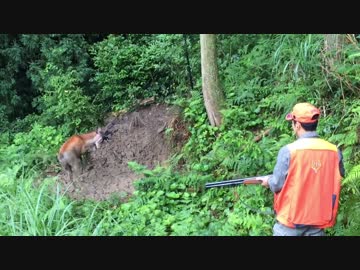 狩猟の現場から これも現実 1/3【閲覧注意!!】有害鳥獣駆除