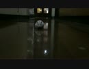 ハムスターが走って向かってくるだけ