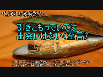 ゆっくり動物雑学「夜這いするため…」