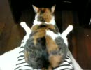 足ぴーん