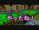【Minecraft】隠し撮りクラフト part13【マルチプレイ】～最終回（仮）～