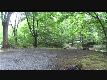 ソロキャンプの時間#1　道志の森キャンプ場