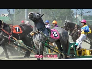 YAMAHA兄妹で行く北海道ツーリング Part11