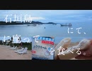 ハッカASMR 石垣島旅行にて静かなビーチで独り朝ご飯！早朝貸切り状態☆珊瑚いっぱい♪