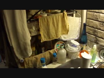 いい歳こいたおっさんの自宅後悔 ニコニコ動画