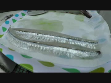 【にしやんFC】内海防波堤第3弾！