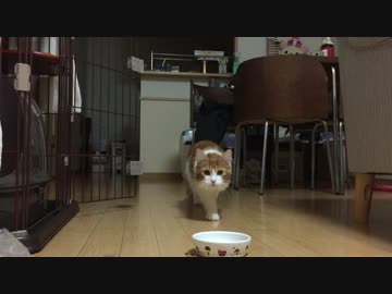 ゆっくり狙われてます