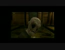 【元ニート二人で】RULE of ROSE【実況part4】