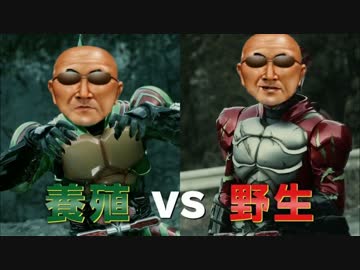 KMNライダーアナゾンズ「Okayamour Zone」.hamburg