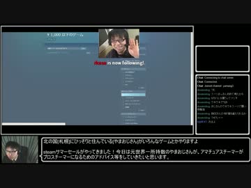 steam大型セール攻略！～プロスチマーになるために～