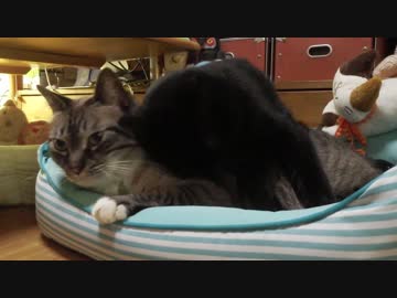 【23】ジャン❤︎ポン　愛は始まったばかりでその幼さにウルっと