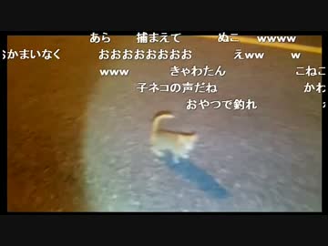オカルトハンターＳＤ　子猫のハニートラップ