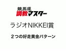 競馬道調教マスターでラジオNIKKEI賞の勝ち馬を探す