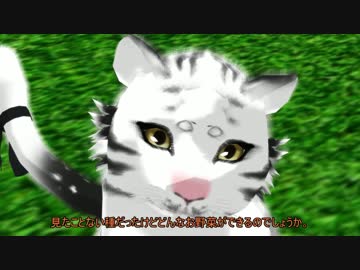 【刀舞祭：内番】野菜の観察日記【寸劇】