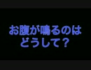 お腹がなるのはどうして？最大の謎を解説します！
