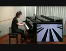 【映像付コンサート】バンブル・ブギ Bumble Boogie を弾いてみた