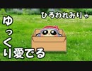 【ゆっくり愛でる】ひろわれみりゃ
