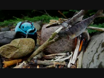 一人と一匹の梅雨時アウトドア計画その１