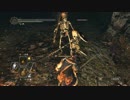 【実況】今さら初見でDARK SOULSⅡ_23