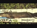 Snakehead Fishing!!