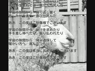 The hitsuji's Library - 宇宙の隙間から