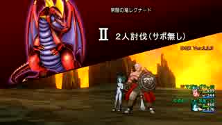 【DQX】常闇の竜レグナードⅡ 【２人討伐】パラ賢