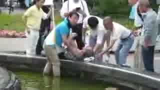 青山繁晴 尼崎で参院選街頭演説中に水没した人を救助 ※6:44辺り