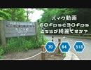 【ヤビツ峠】60／30fps比較【バイク】