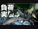 【MHX】獰猛ギザミの負荷実験【マイナススキル】