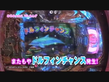 数年前のパチンコ実戦（プレ海ぼのぼのと慈母）前編