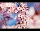 Lee Ji Soo／Flying Petals(Instrumental)
