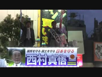 ②[西村眞悟]  「日本の心を大切にする党」  蒲田駅前 7.1