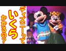 ディズニーっていくらかかるの？【ﾃﾞｨｽﾞﾆｰ旅】05