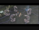 【空の軌跡SC】再び！軌跡を！辿る！【実況プレイ】　part30