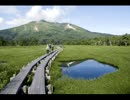 【Sinsy】【さとうささら】夏の思い出